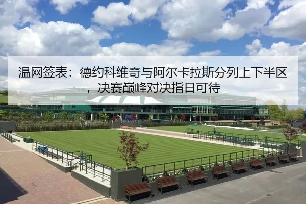 温网签表：德约科维奇与阿尔卡拉斯分列上下半区，决赛巅峰对决指日可待