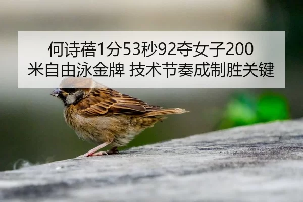 何诗蓓1分53秒92夺女子200米自由泳金牌 技术节奏成制胜关键